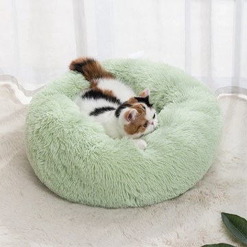 Pet Supplies