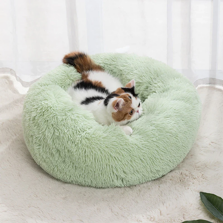 Pet Supplies